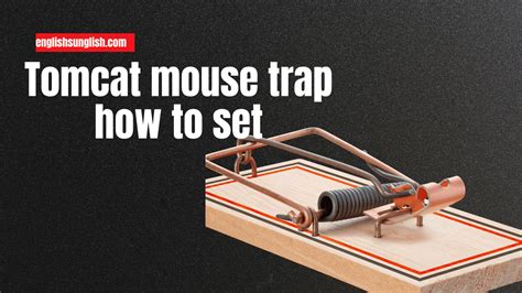 how to set the tomcat mouse trap|tomcat mouse killer directions.